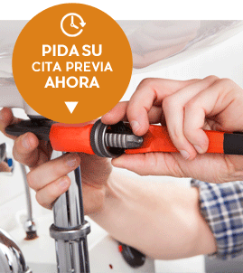 Pida cita